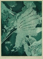 MIKROSKOPISCHE WELT I