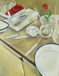 STILLLEBEN IM KREISSAAL  